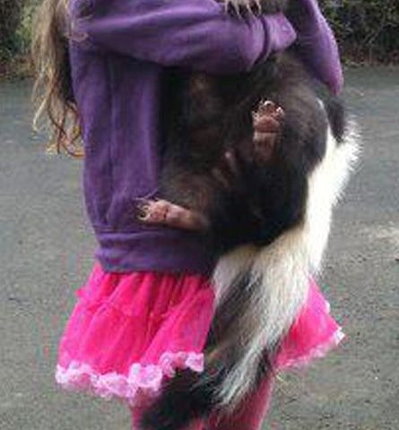 DAUGHTERS BEST FRIEND IS A SKUNK