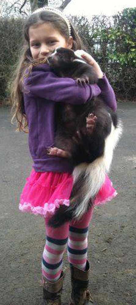 DAUGHTERS BEST FRIEND IS A SKUNK