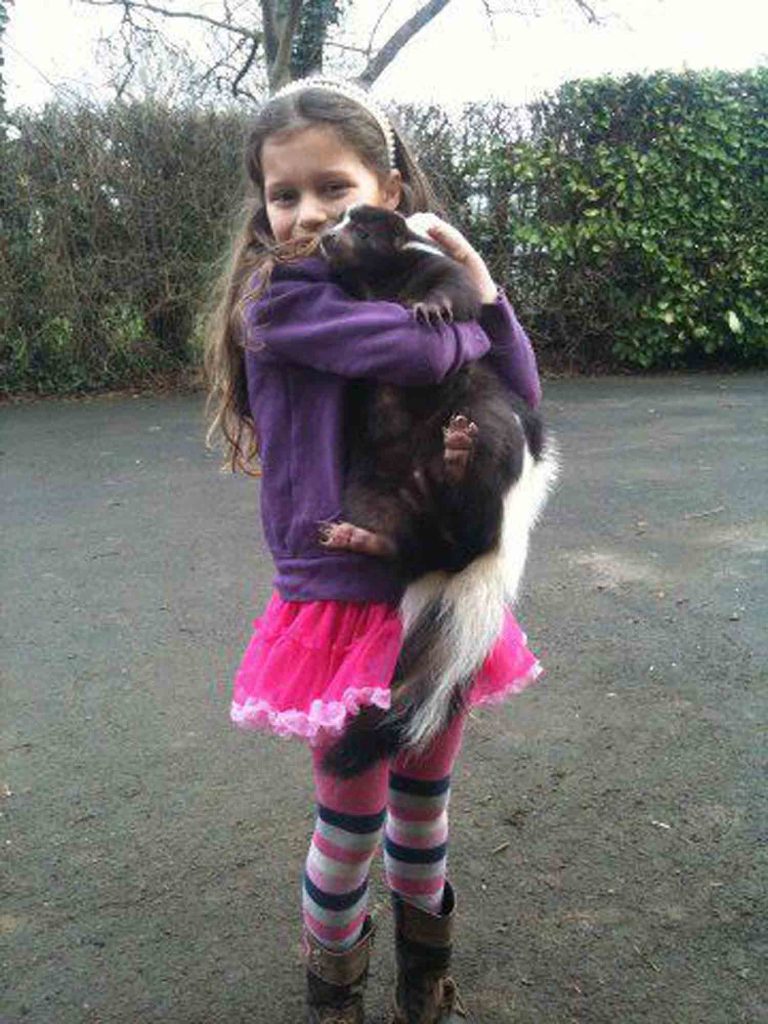 My daughter’s best friend is a skunk!